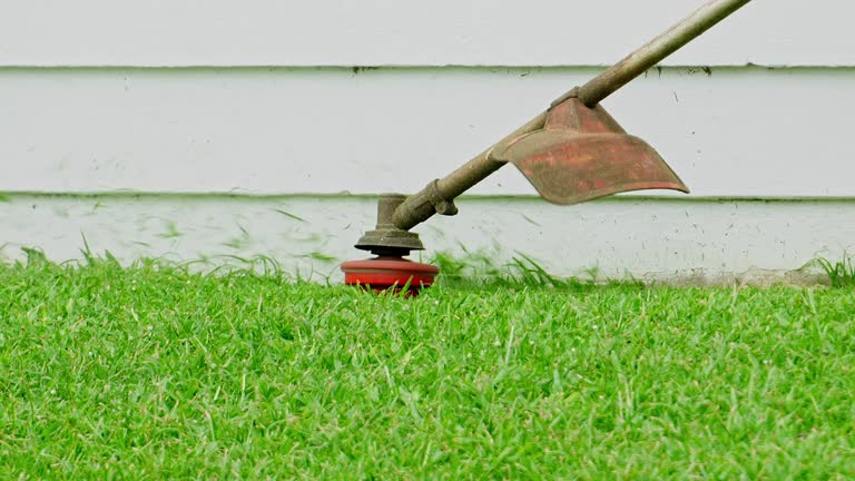 Lawn Maintenance Plans