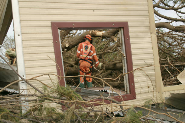 Graniteville, SC Tree Care Services Company